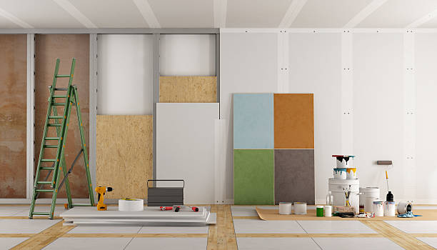 Best Post-Construction Mold Inspection  in Buffalo, NY