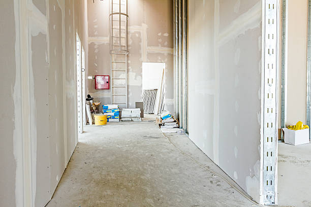 Best Attic Mold Removal  in Buffalo, NY
